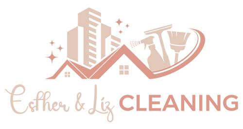 cleaning-dmv